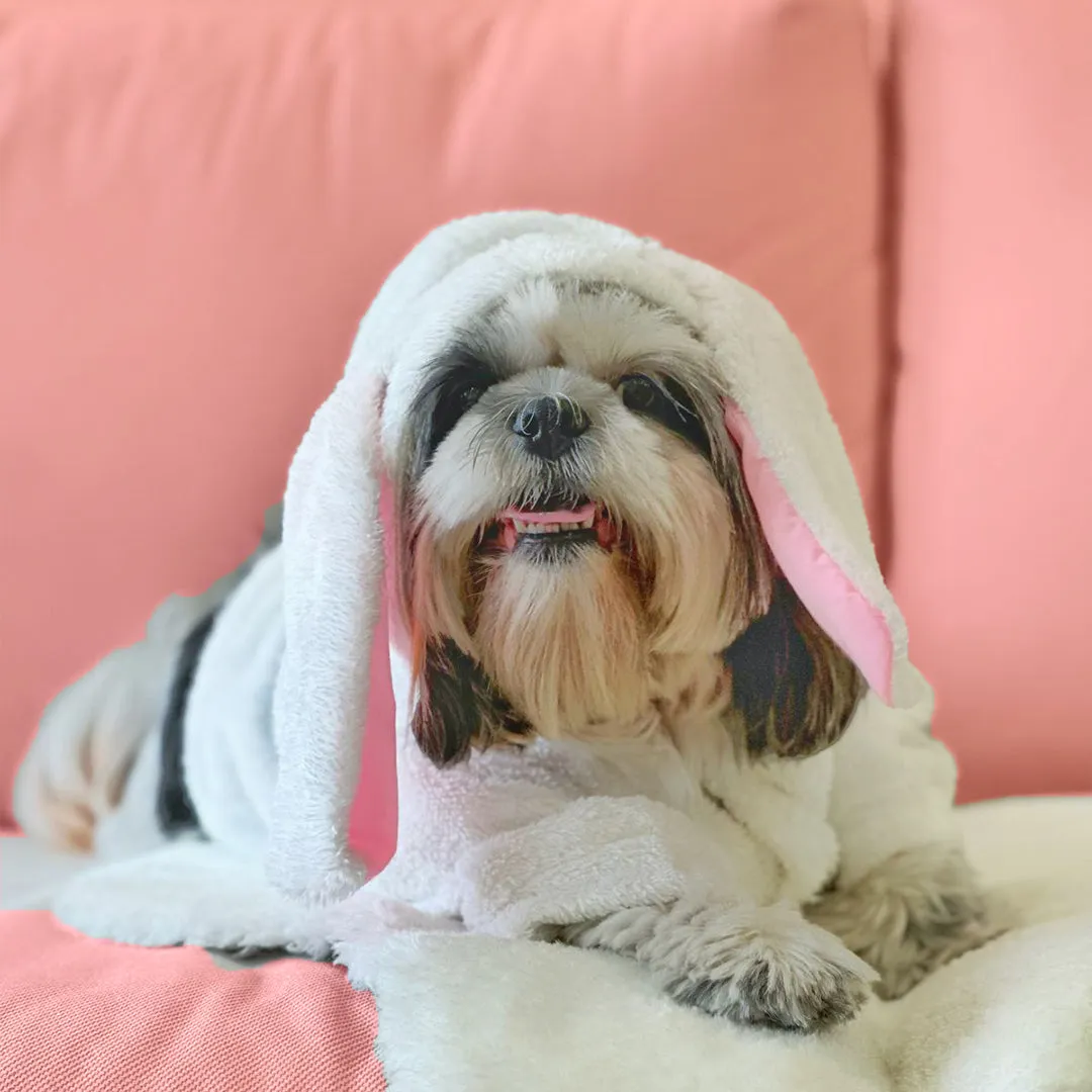 Bunny Hoodie