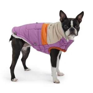Camplife Dog Puffer - Purple