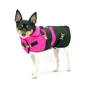 DCNY Equestrian Collection