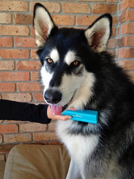 EasyGroomer by EquiGroomer - 5 inches/13cm (small)