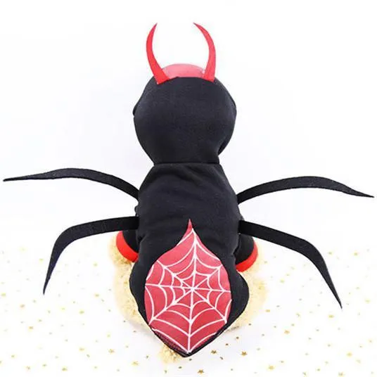 Halloween Pet Spider Hoodie