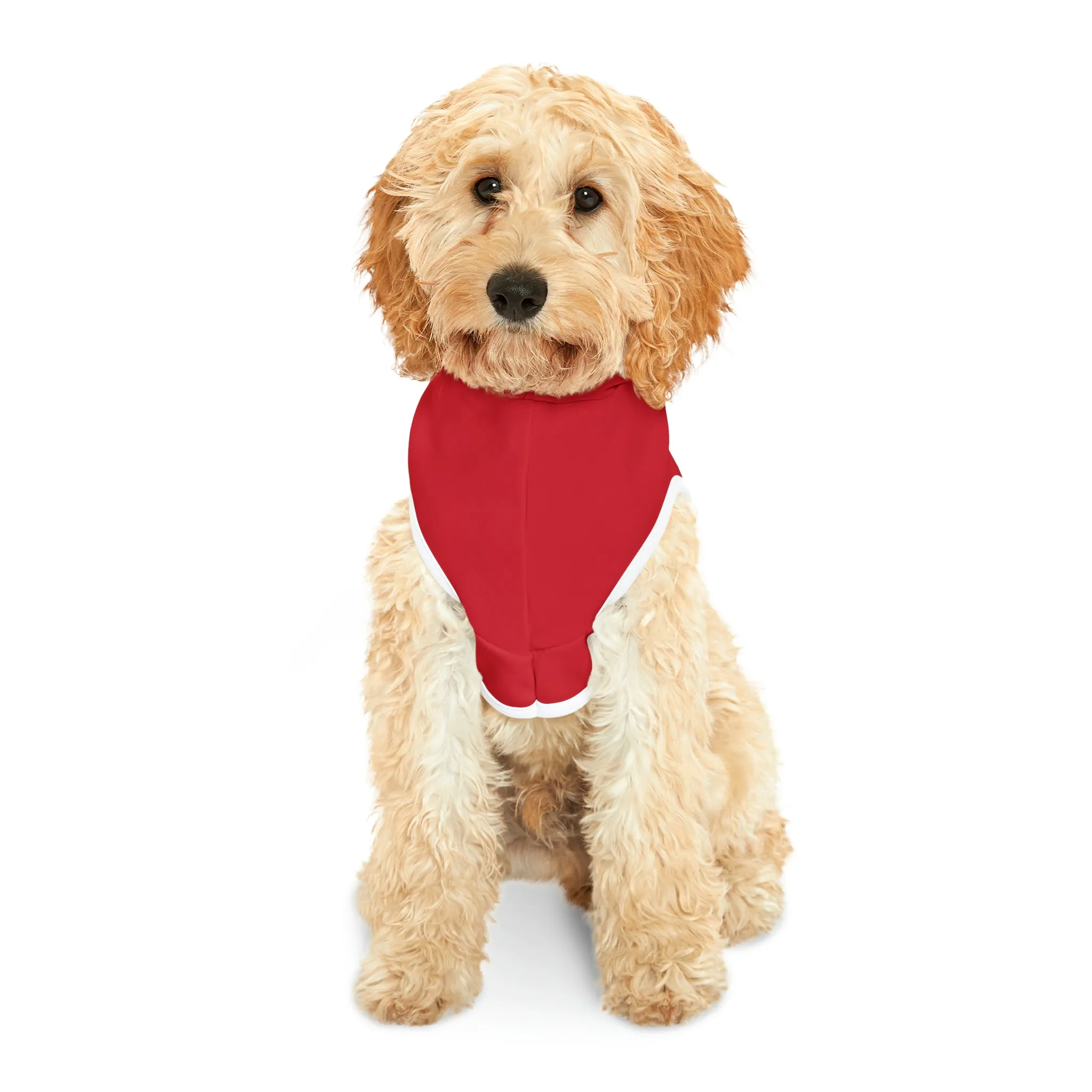 Here comes Santa Paws Pet Hoodie